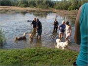 sind wir halt auch ins Wasser